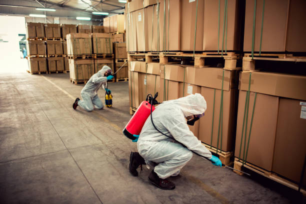 Best Pest Control for Homes  in North Potomac, MD
