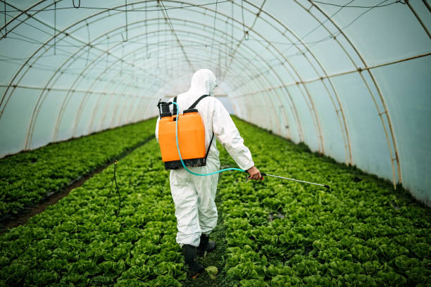 Best Local Pest Control Services  in North Potomac, MD