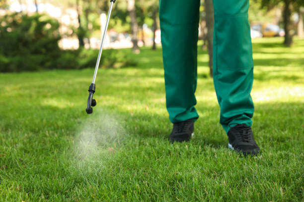 Best Local Pest Control Services  in North Potomac, MD