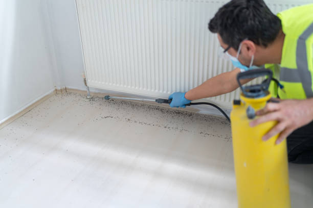 Best Wasp Removal Services  in North Potomac, MD