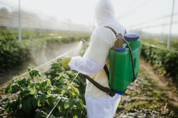 Best Ant Control Services  in North Potomac, MD